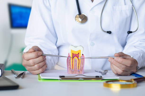 Best Emergency Dental Care for Trauma or Injury in Energy, IL